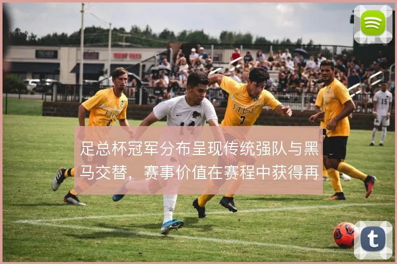 足总杯冠军分布呈现传统强队与黑马交替，赛事价值在赛程中获得再评估