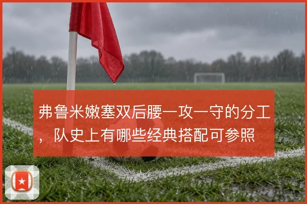 弗鲁米嫩塞双后腰一攻一守的分工，队史上有哪些经典搭配可参照